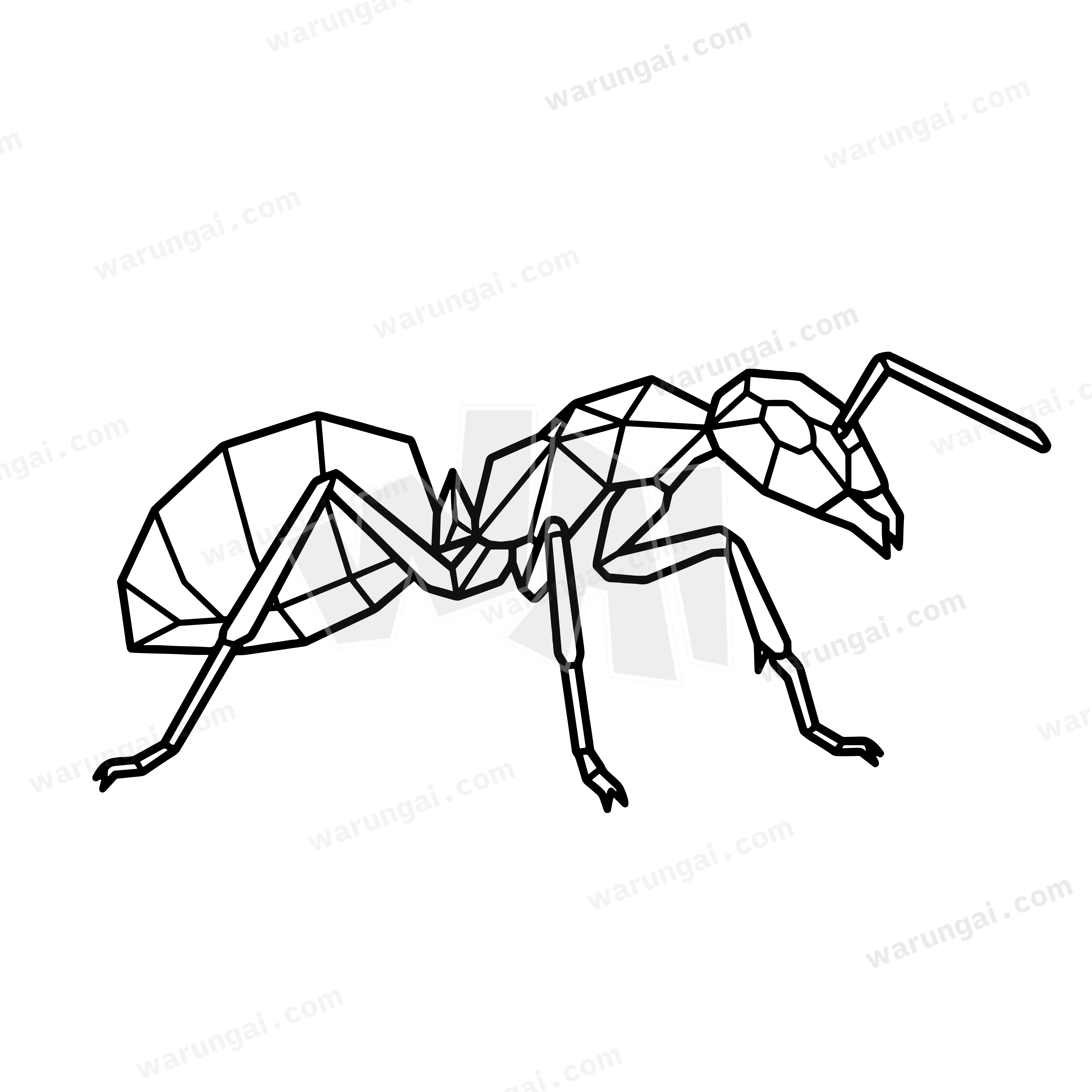 Ant