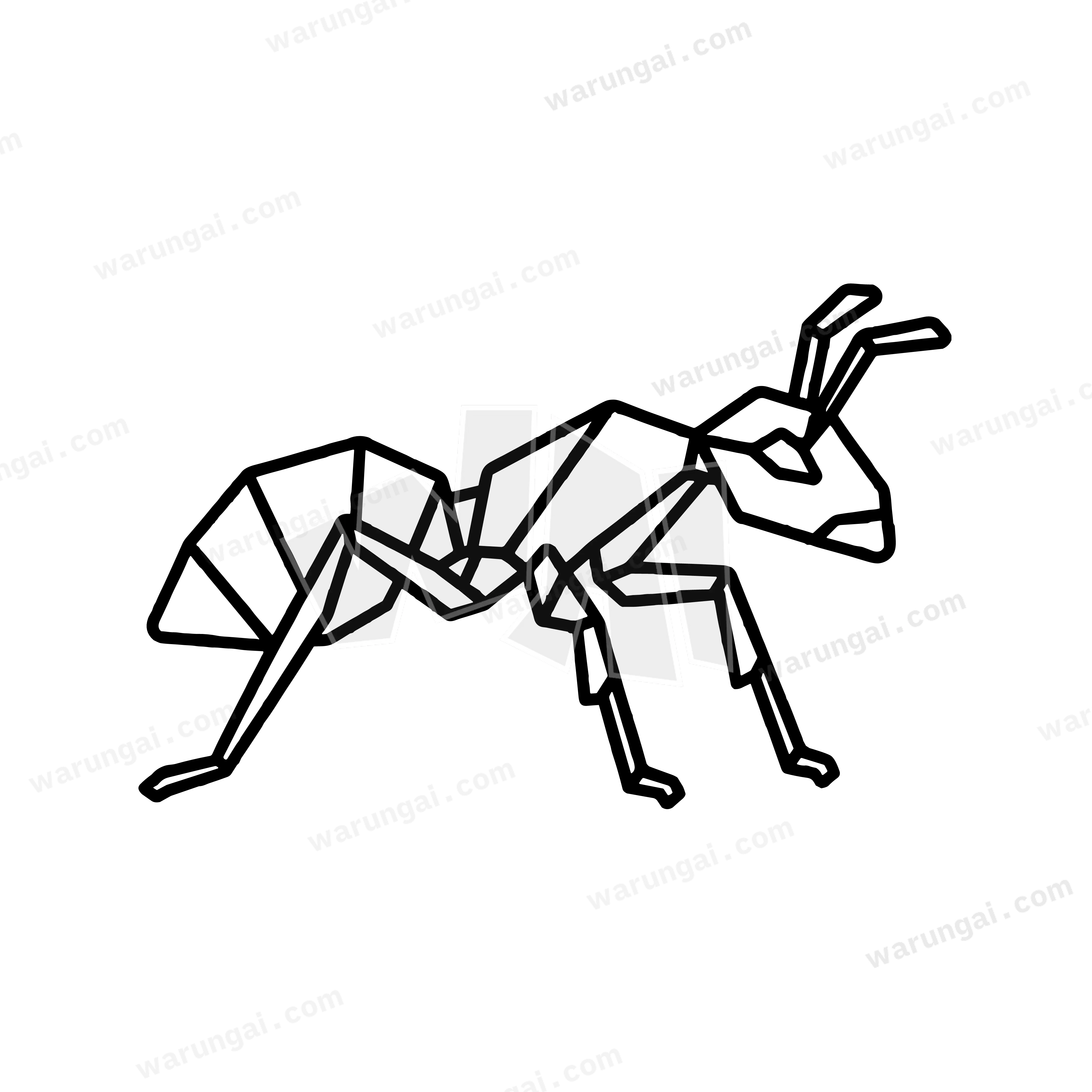 Ant
