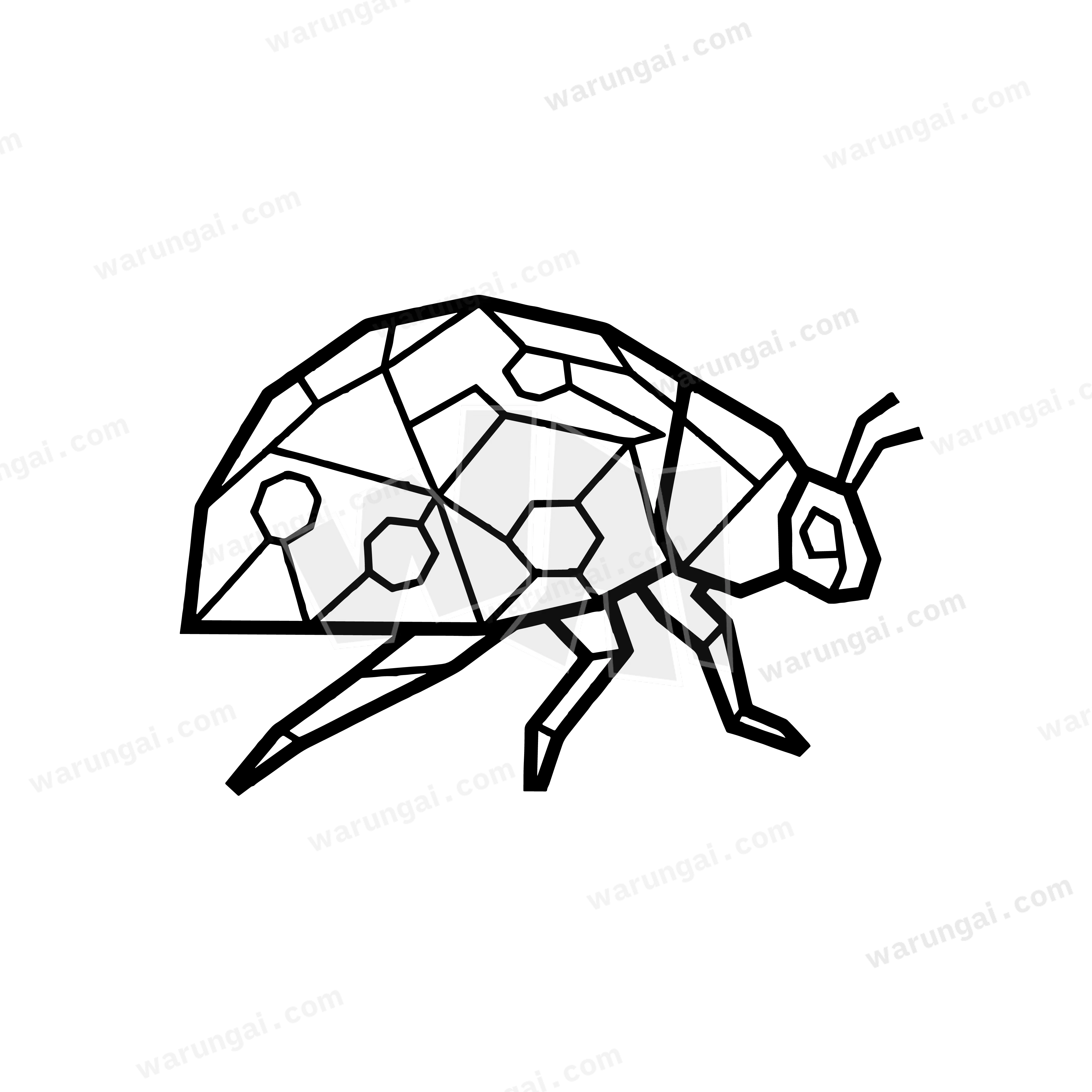 Coccinellidae